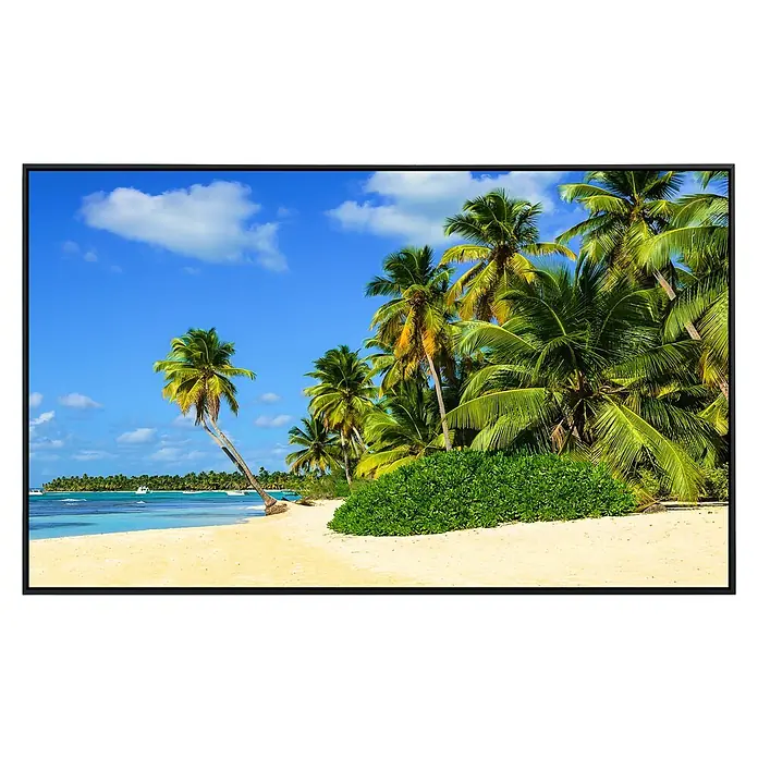 Papermoon Infrarot-Bildheizkörper Exotischer Palm Beach - 100 x 60 cm, 600 W - Vorderansicht