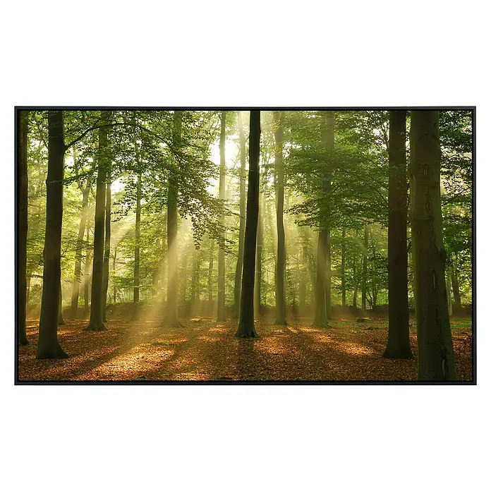 Papermoon Infrarot-Bildheizkörper Wald am Morgen - 60 x 60 cm, 350 W - Vorderansicht