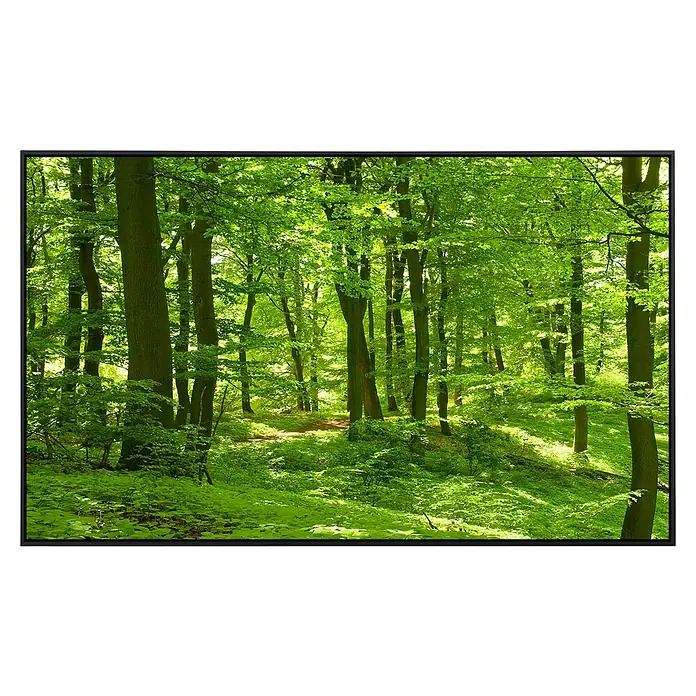 Papermoon Infrarot-Bildheizkörper Wald im Frühling - 120 x 60 cm, 750 W - Vorderansicht