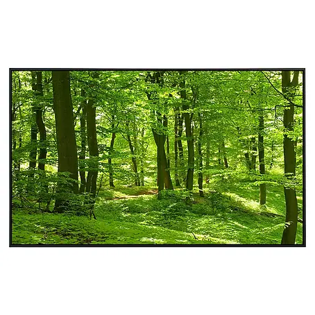Papermoon  Infrarot-Bildheizkörper Wald im Frühling
