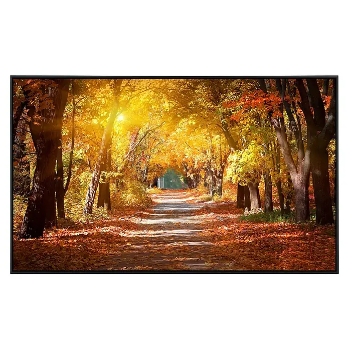 Papermoon Infrarot-Bildheizkörper Gasse im Herbstpark - 120 x 60 cm, 900 W - Vorderansicht