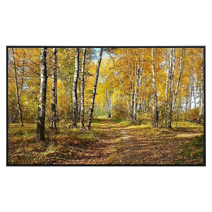 Papermoon Infrarot-Bildheizkörper Herbstwald 1 - 120 x 60 cm, 1.200 W - Vorderansicht