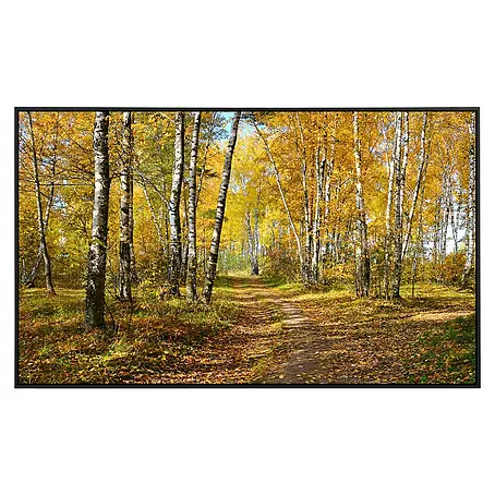 Papermoon  Infrarot-Bildheizkörper Herbstwald 1