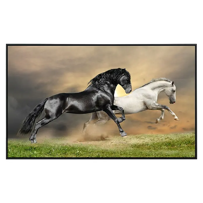 Papermoon Infrarot-Bildheizkörper Pferde schwarz weiss - 120 x 60 cm, 1.200 W - Vorderansicht