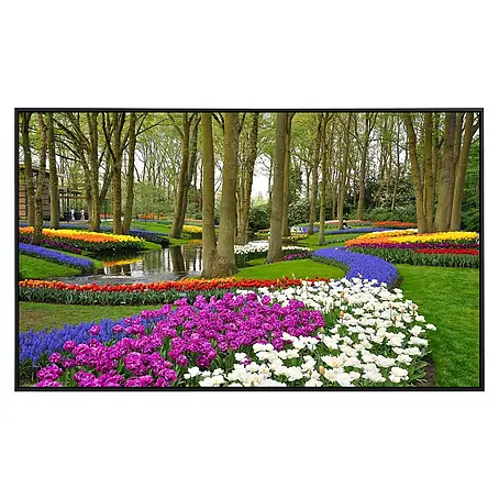 Papermoon  Infrarot-Bildheizkörper Tulpen im Keukenhof-Park