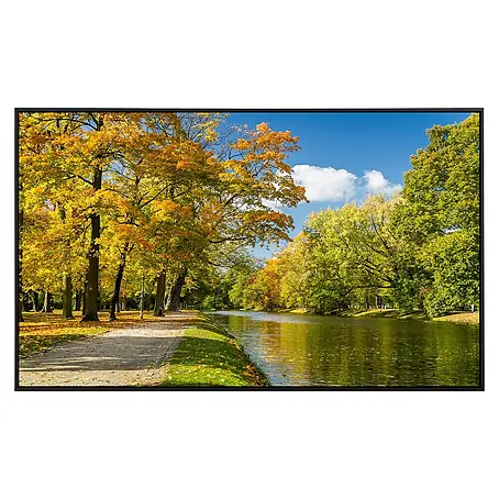 Papermoon  Infrarot-Bildheizkörper Fluss im Herbstpark