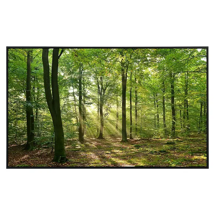 Papermoon Infrarot-Bildheizkörper Forest Morgen - 100 x 60 cm, 600 W - Vorderansicht