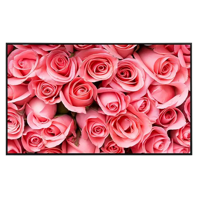 Papermoon Infrarot-Bildheizkörper Rosa Rosenblumen - 120 x 60 cm, 900 W - Vorderansicht