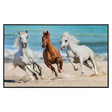 Papermoon  Infrarot-Bildheizkörper Horse Herd Run Galopp