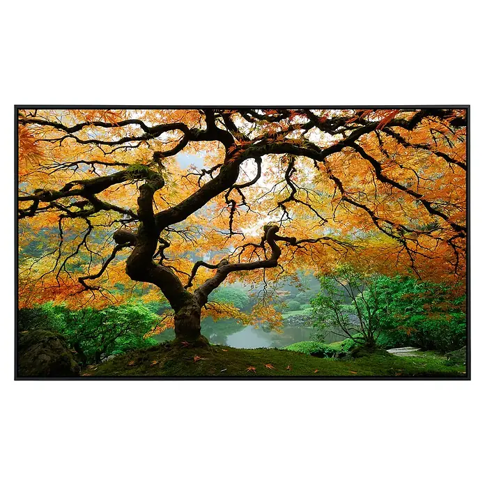 Papermoon Infrarot-Bildheizkörper Herbst Ahornbaum - 120 x 60 cm, 750 W - Vorderansicht