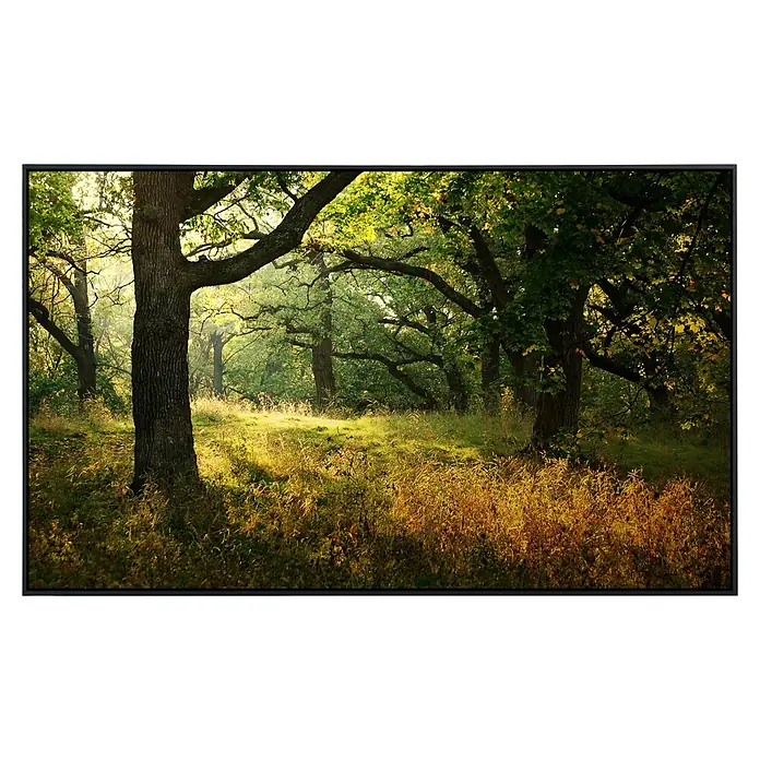 Papermoon Infrarot-Bildheizkörper Morgen Sonnenstrahl - 100 x 60 cm, 600 W - Vorderansicht