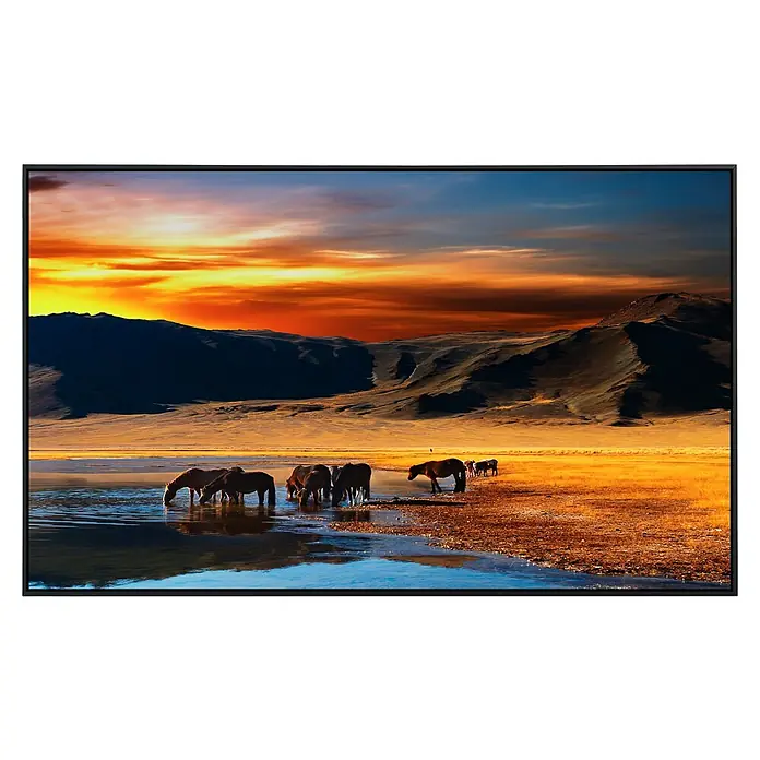 Papermoon Infrarot-Bildheizkörper Mongolische Pferde - 120 x 60 cm, 900 W - Vorderansicht