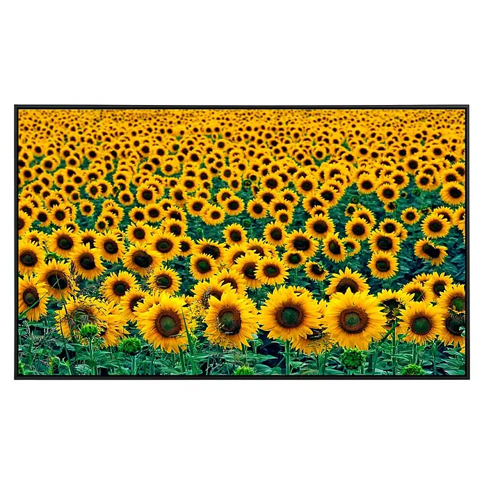 Papermoon Infrarot-Bildheizkörper Feld der Sonnenblumen 1 - 120 x 60 cm, 1.200 W - Vorderansicht