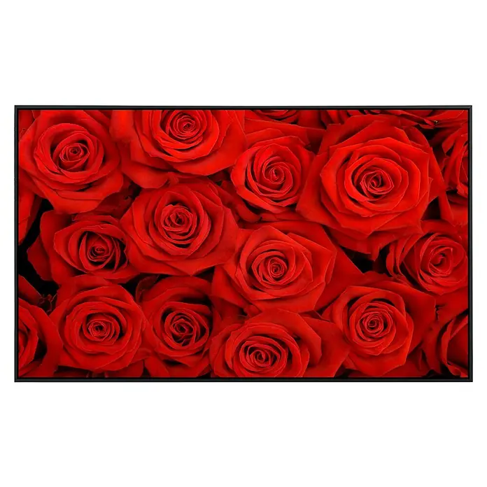Papermoon Infrarot-Bildheizkörper Rote Rosen - 100 x 60 cm, 600 W - Vorderansicht