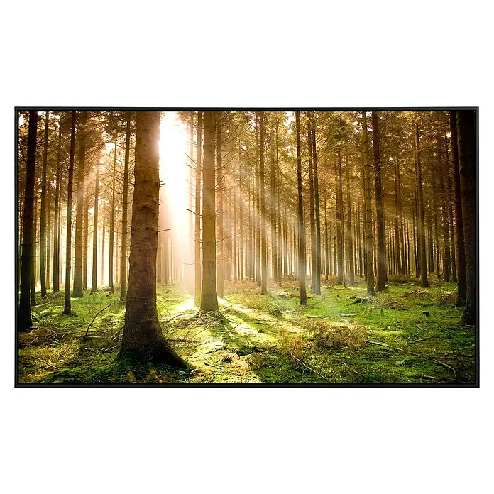 Papermoon Infrarot-Bildheizkörper Herbstkiefernwald - 60 x 60 cm, 350 W - Vorderansicht