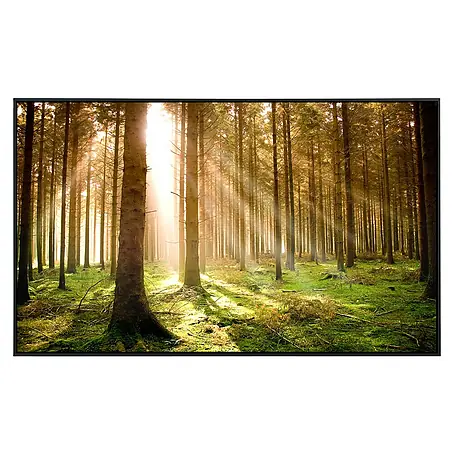 Papermoon  Infrarot-Bildheizkörper Herbstkiefernwald