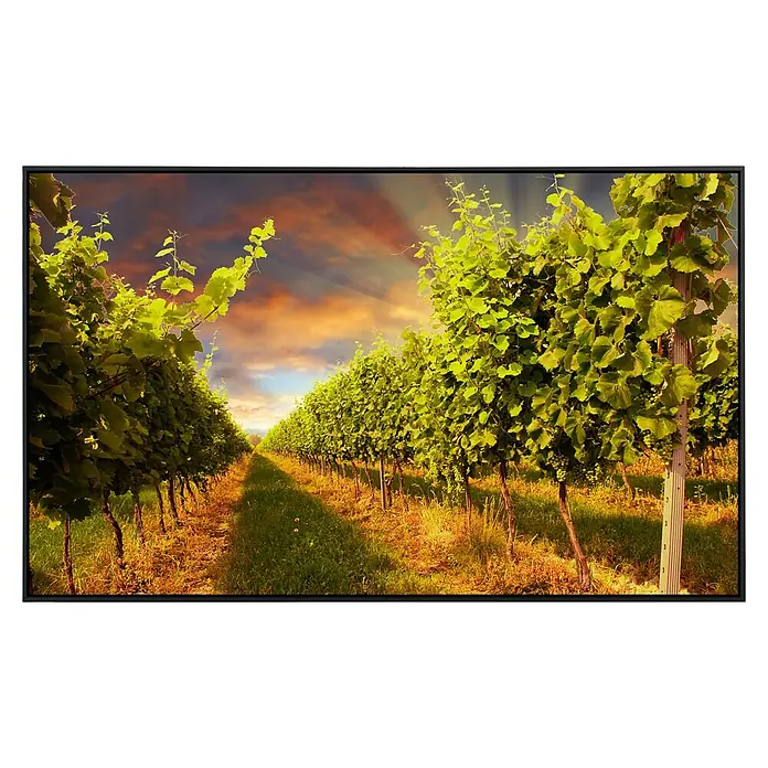 Papermoon Infrarot-Bildheizkörper Weinberg im Sonnenuntergang - 120 x 60 cm, 1.200 W - Vorderansicht