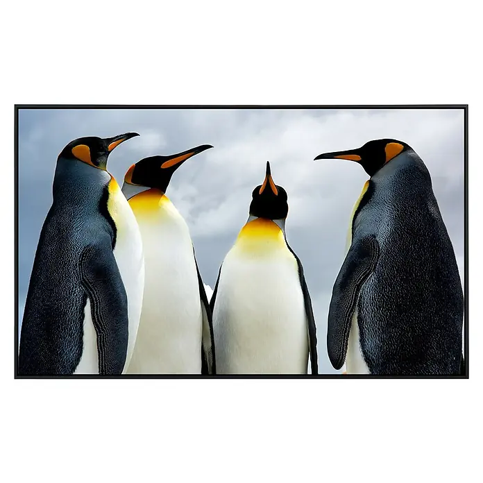 Papermoon Infrarot-Bildheizkörper König Pinguins - 120 x 60 cm, 1.200 W - Vorderansicht