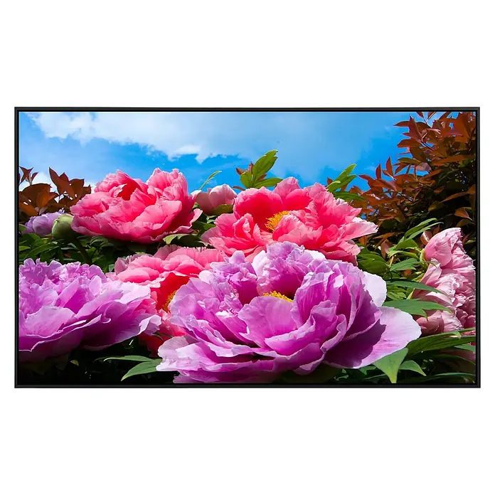 Papermoon Infrarot-Bildheizkörper Tropical Peonies - 120 x 60 cm, 750 W - Vorderansicht