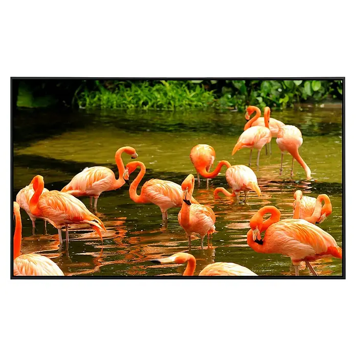 Papermoon Infrarot-Bildheizkörper Rosa Flamingos - 120 x 60 cm, 750 W - Vorderansicht
