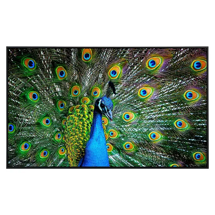 Papermoon Infrarot-Bildheizkörper Pfau - 100 x 60 cm, 600 W - Vorderansicht