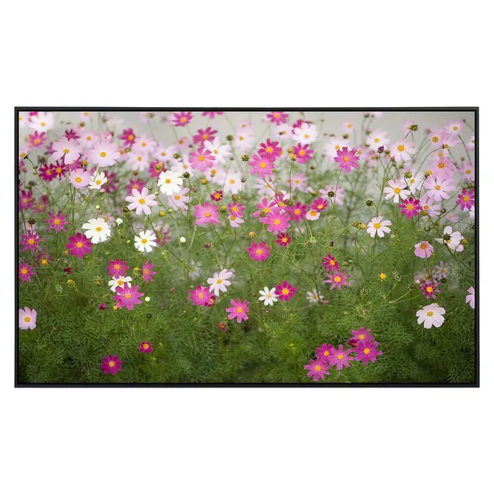 Papermoon Infrarot-Bildheizkörper Kosmosblumen - 60 x 60 cm, 350 W - Vorderansicht