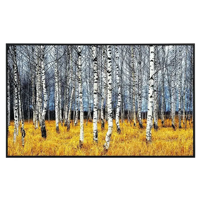 Papermoon Infrarot-Bildheizkörper Herbst Birkenhain - 80 x 60 cm, 450 W - Vorderansicht