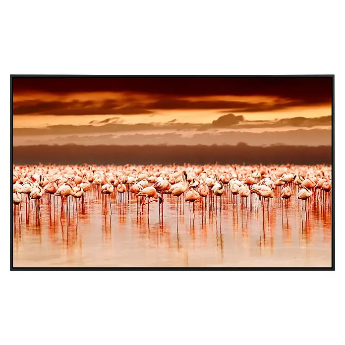Papermoon Infrarot-Bildheizkörper Afrikanische Flamingos - 80 x 60 cm, 450 W - Vorderansicht