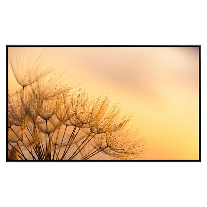 Papermoon Infrarot-Bildheizkörper Löwenzahn Sonnenuntergang - 60 x 60 cm, 350 W - Vorderansicht