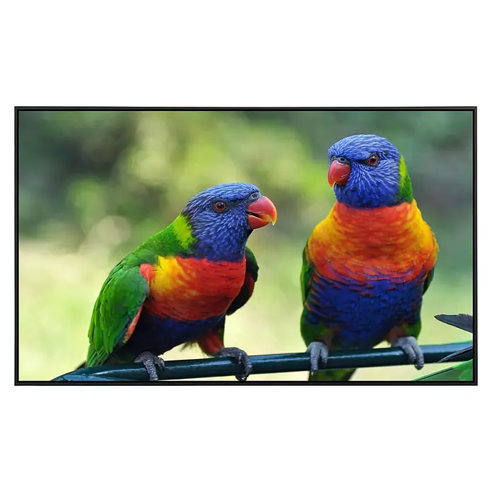 Papermoon Infrarot-Bildheizkörper Regenbogen Lorikeets Vögel - 100 x 60 cm, 600 W - Vorderansicht