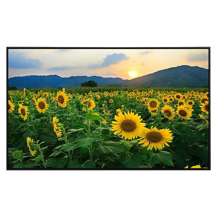 Papermoon Infrarot-Bildheizkörper Sonnenblumenfeld 2 - 120 x 60 cm, 900 W - Vorderansicht