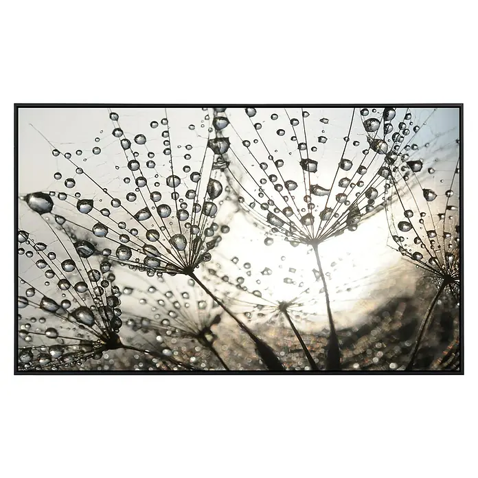 Papermoon Infrarot-Bildheizkörper Löwenzahnsamen Tropfen - 120 x 60 cm, 750 W - Vorderansicht