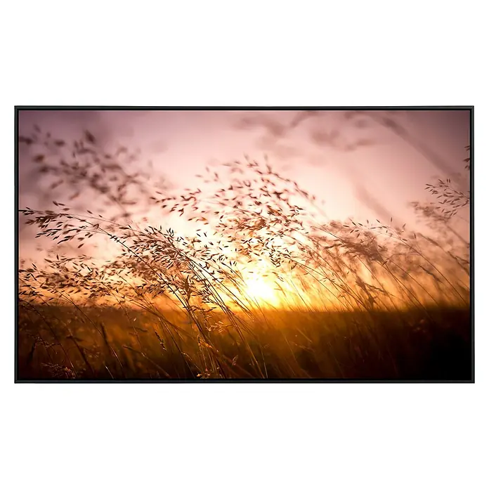 Papermoon Infrarot-Bildheizkörper Trockenes Gras im Sommer - 80 x 60 cm, 450 W - Vorderansicht