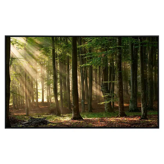 Papermoon Infrarot-Bildheizkörper Herbstwald 3 - 80 x 60 cm, 450 W - Vorderansicht