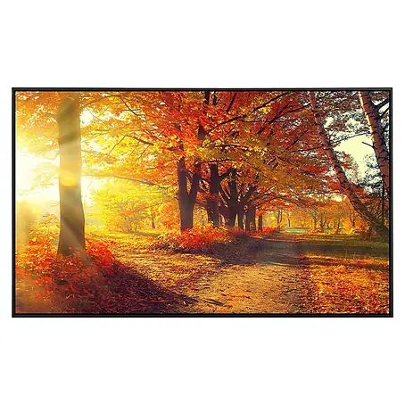 Papermoon  Infrarot-Bildheizkörper Herbstwald 4