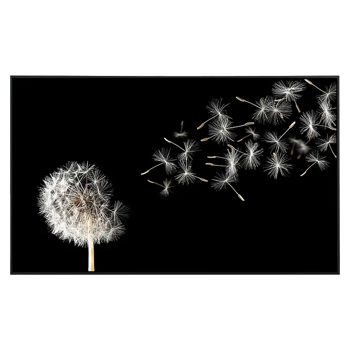 Papermoon Infrarot-Bildheizkörper Löwenzahn - 120 x 60 cm, 1.200 W - Vorderansicht