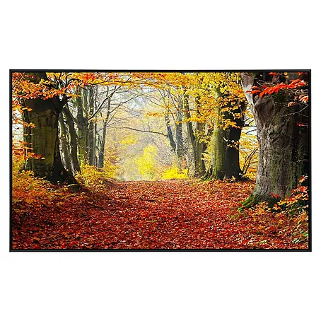 Papermoon  Infrarot-Bildheizkörper Herbst Waldweg