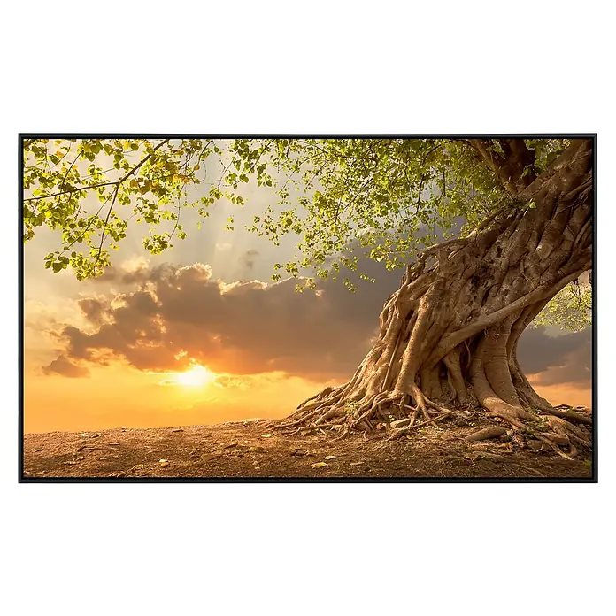 Papermoon Infrarot-Bildheizkörper Alter Baum im Sonnenuntergang - 120 x 60 cm, 900 W - Vorderansicht