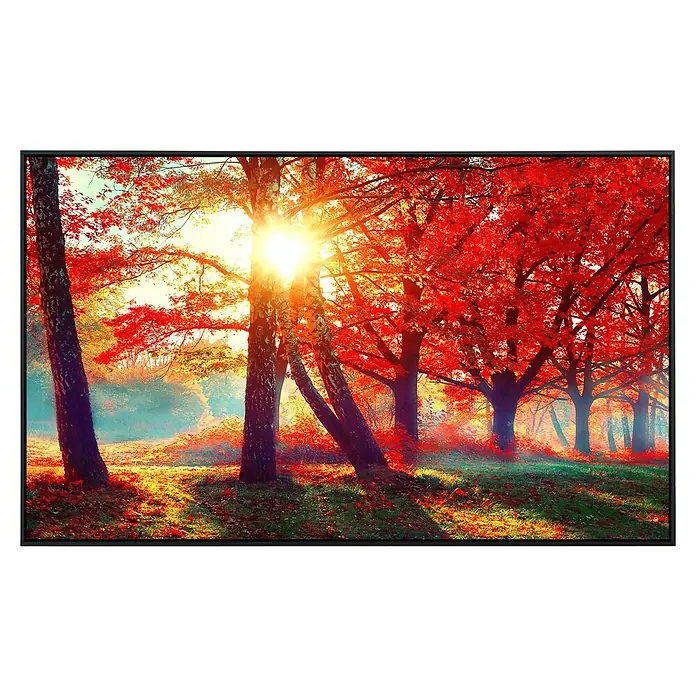 Papermoon Infrarot-Bildheizkörper Herbstpark - 120 x 60 cm, 900 W - Vorderansicht