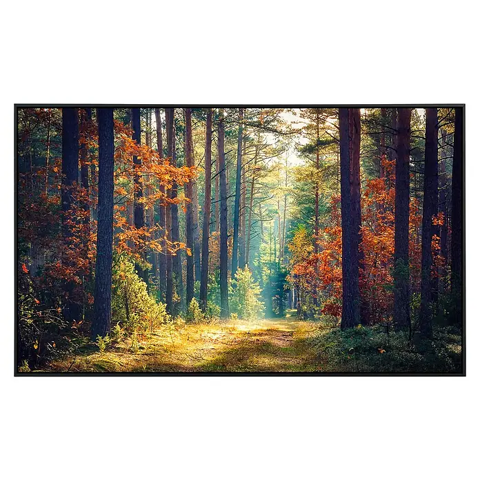 Papermoon Infrarot-Bildheizkörper Herbstwald Sonnenstrahlen - 60 x 60 cm, 350 W - Vorderansicht
