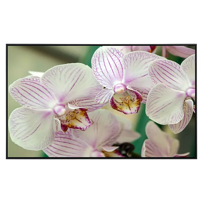 Papermoon Infrarot-Bildheizkörper Weiße Orchidee - 60 x 60 cm, 350 W - Vorderansicht