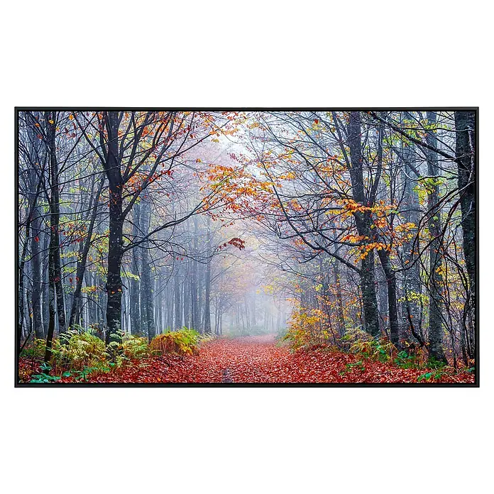 Papermoon Infrarot-Bildheizkörper Neblige Herbstwaldstraße - 80 x 60 cm, 450 W - Vorderansicht