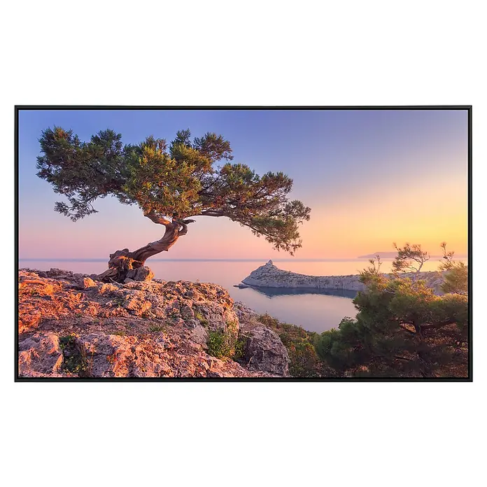 Papermoon Infrarot-Bildheizkörper Erstaunlicher Baum auf dem Felsen - 60 x 60 cm, 350 W - Vorderansicht