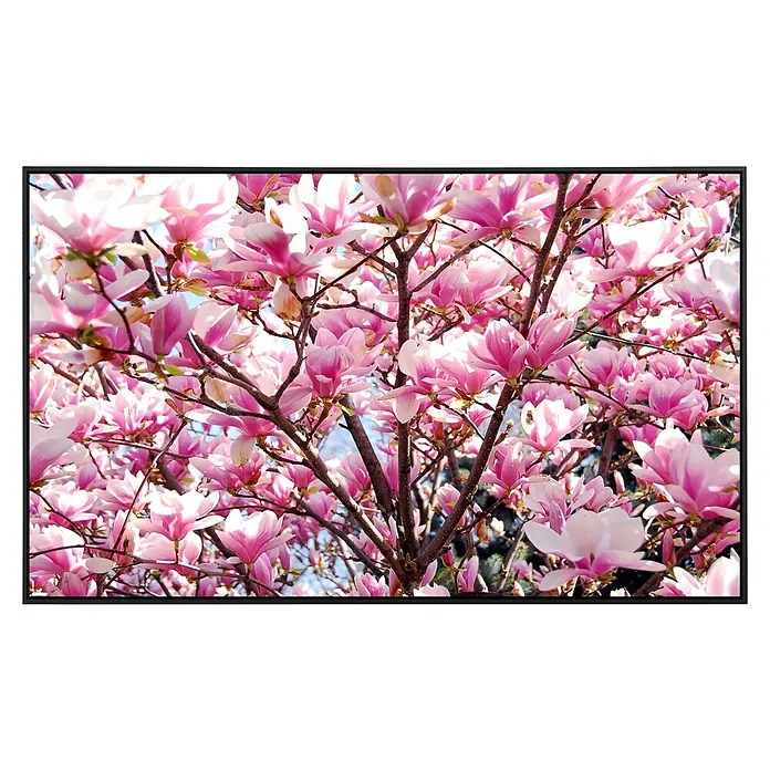 Papermoon Infrarot-Bildheizkörper Blühende Magnolie - 100 x 60 cm, 600 W - Vorderansicht