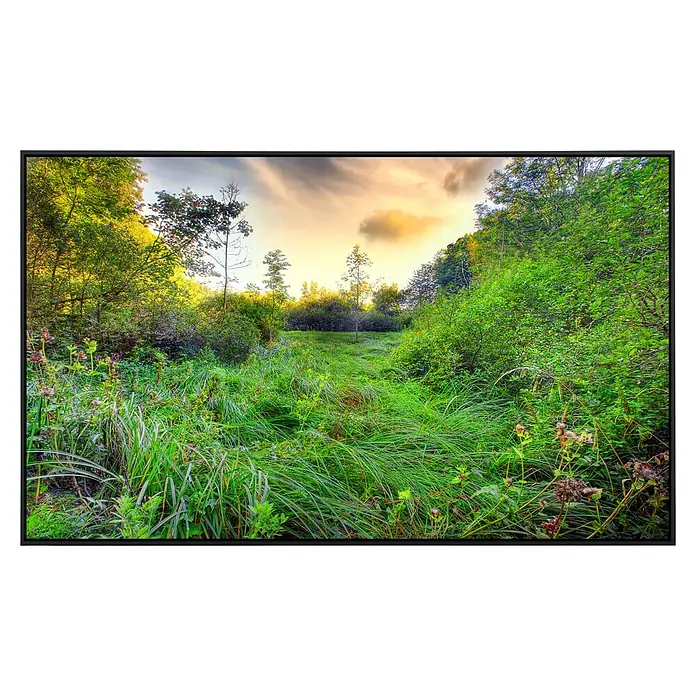 Papermoon Infrarot-Bildheizkörper Grüne Wiese - 120 x 60 cm, 900 W - Vorderansicht
