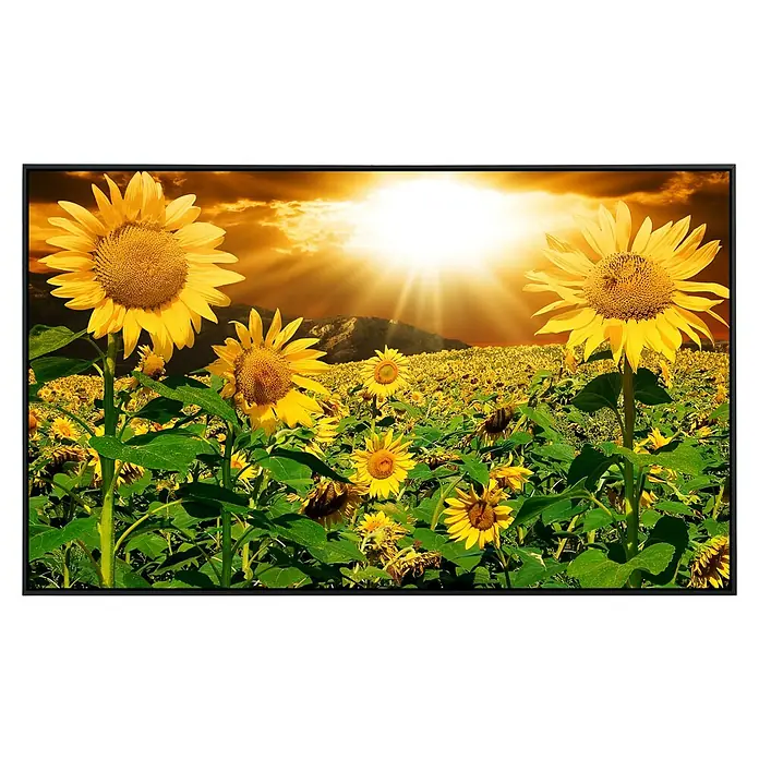 Papermoon Infrarot-Bildheizkörper Sonnenblumen - 120 x 60 cm, 900 W - Vorderansicht