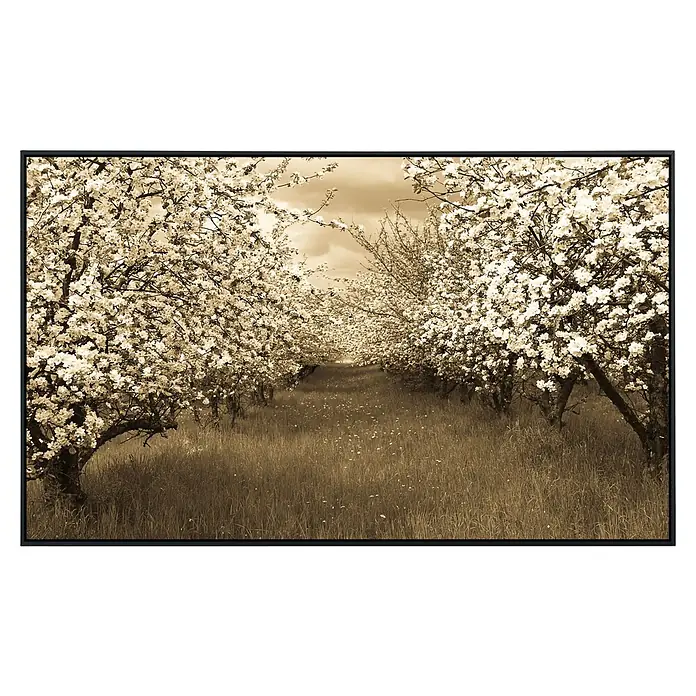 Papermoon Infrarot-Bildheizkörper Sepia Frühlingsobstgarten - 120 x 60 cm, 1.200 W - Vorderansicht
