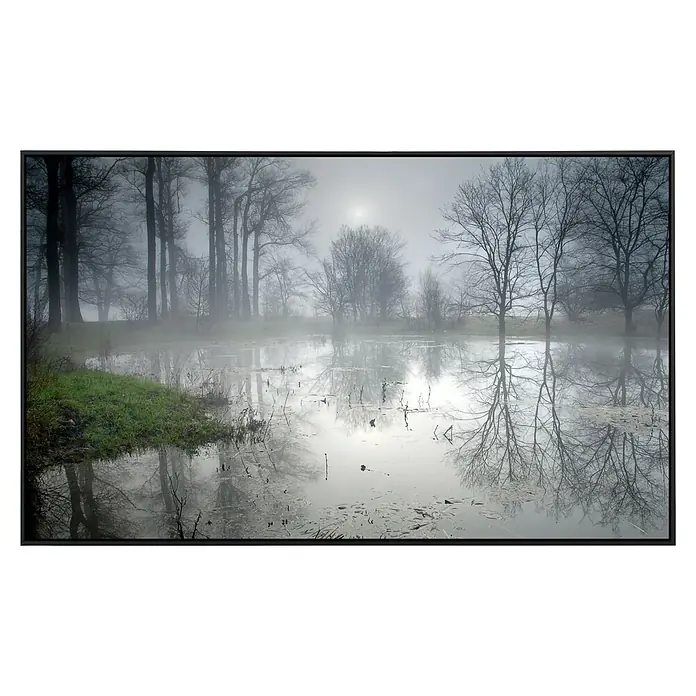 Papermoon Infrarot-Bildheizkörper Geheimnisvoller Wald - 120 x 60 cm, 900 W - Vorderansicht