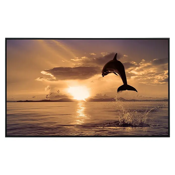 Papermoon Infrarot-Bildheizkörper Springender Delfin - 120 x 60 cm, 900 W - Vorderansicht