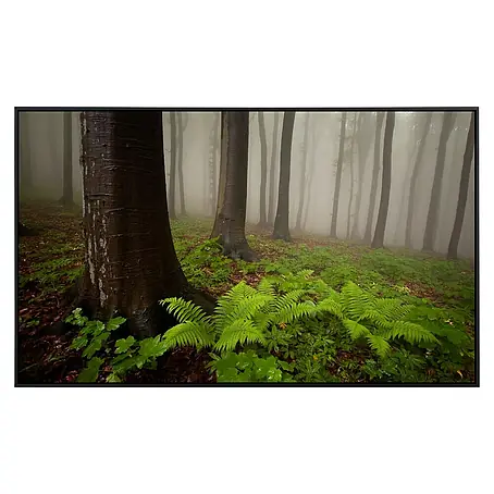 Papermoon  Infrarot-Bildheizkörper Mystischer Wald